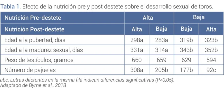 La alimentaci&oacute;n de los toros gana protagonismo: advierten que define la fertilidad y la productividad de los rodeos