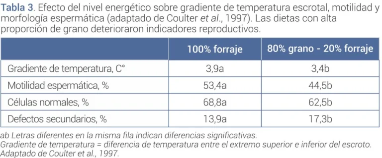 La alimentaci&oacute;n de los toros gana protagonismo: advierten que define la fertilidad y la productividad de los rodeos